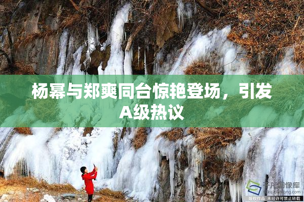 杨幂与郑爽同台惊艳登场，引发A级热议