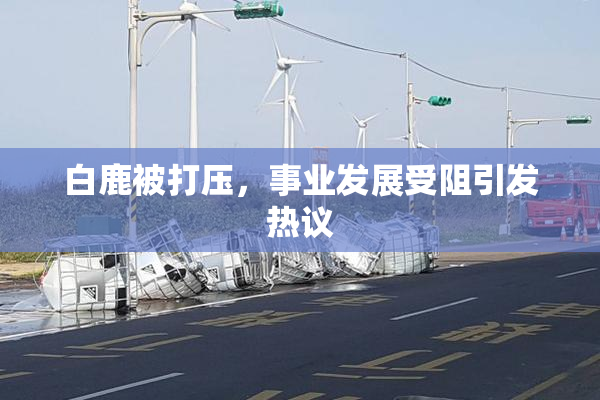 白鹿被打压，事业发展受阻引发热议