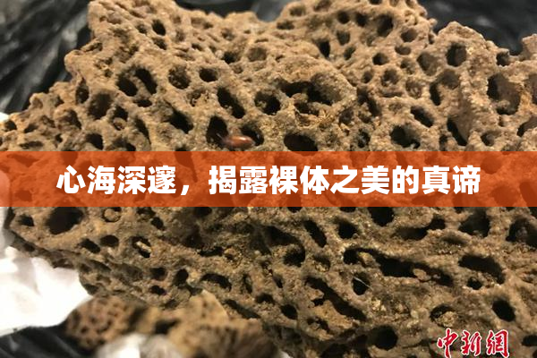 心海深邃，揭露裸体之美的真谛