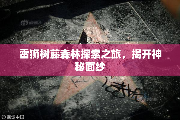 雷狮树藤森林探索之旅，揭开神秘面纱