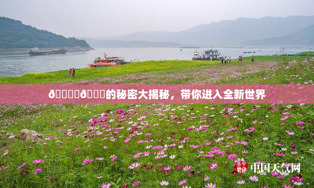 🔞‌🍌的秘密大揭秘，带你进入全新世界