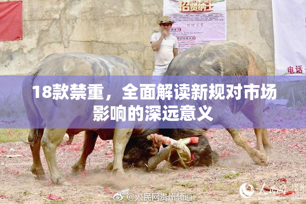 18款禁重，全面解读新规对市场影响的深远意义