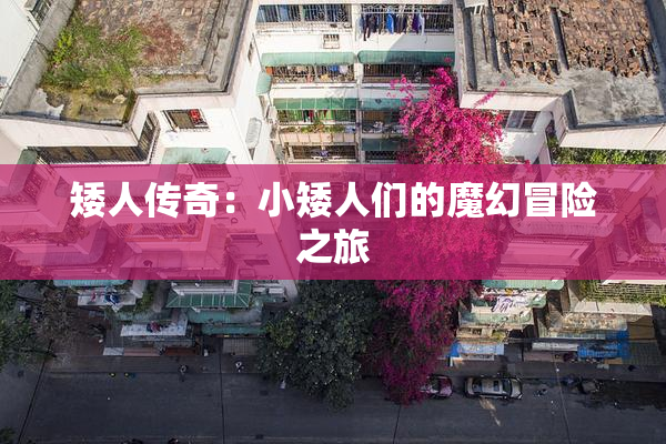 矮人传奇：小矮人们的魔幻冒险之旅