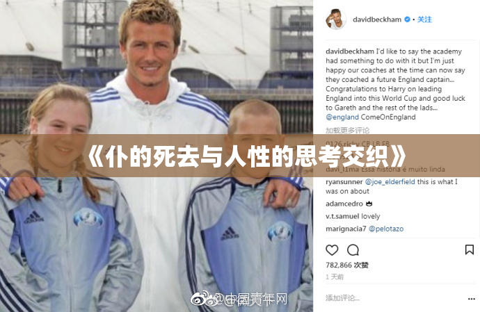 《仆的死去与人性的思考交织》