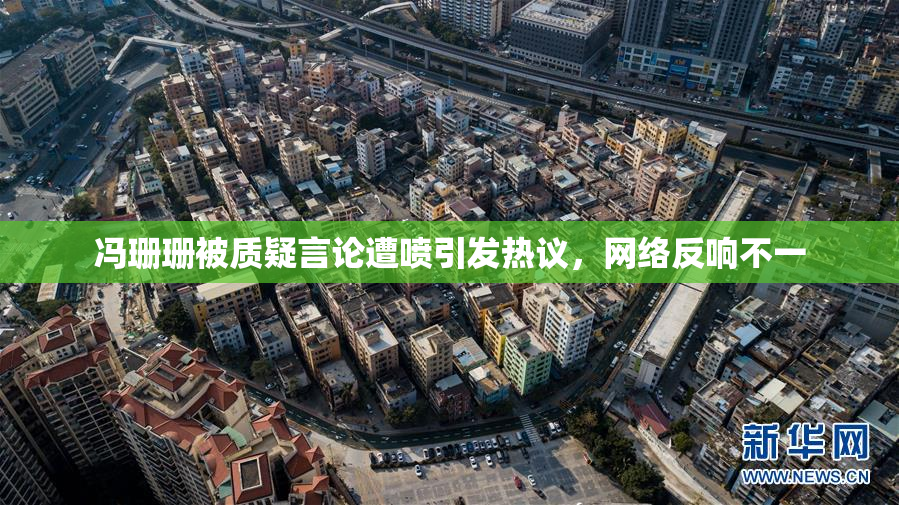 冯珊珊被质疑言论遭喷引发热议，网络反响不一