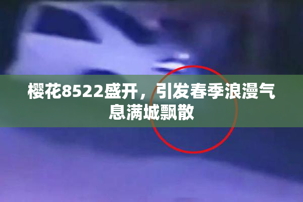 樱花8522盛开，引发春季浪漫气息满城飘散