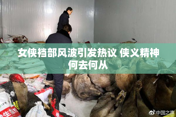 女侠裆部风波引发热议 侠义精神何去何从