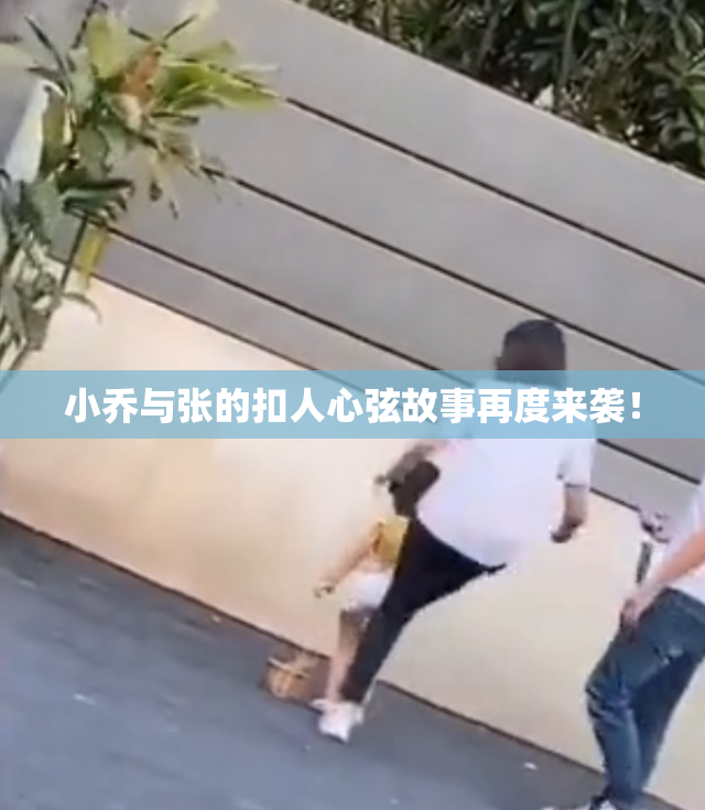 小乔与张的扣人心弦故事再度来袭！