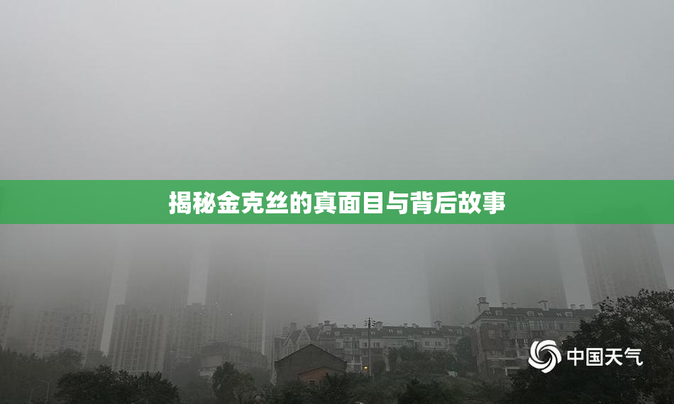 揭秘金克丝的真面目与背后故事