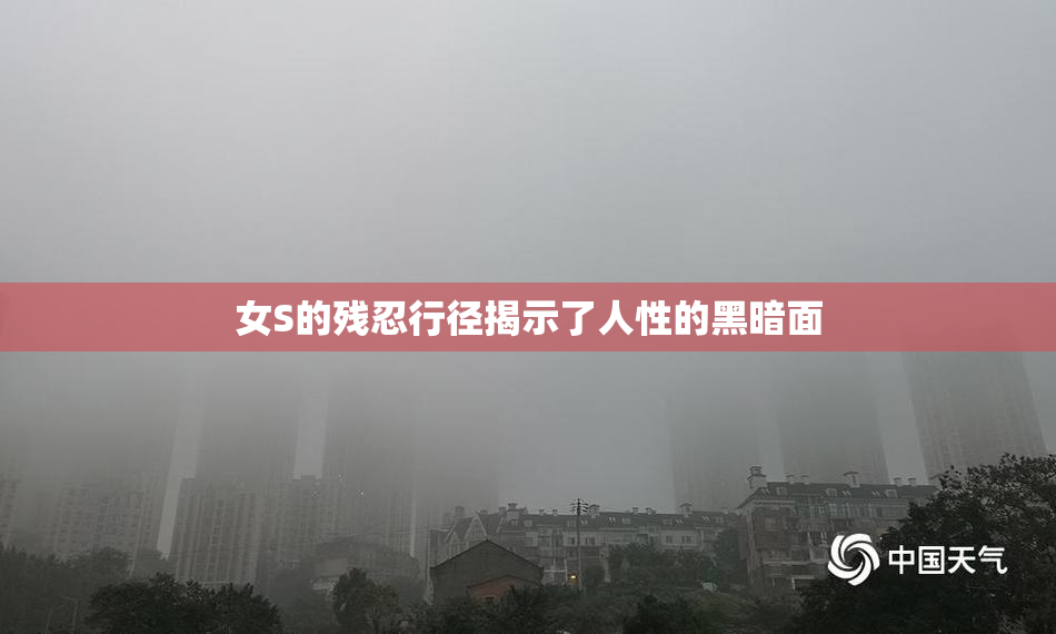 女S的残忍行径揭示了人性的黑暗面