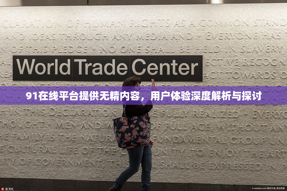91在线平台提供无精内容，用户体验深度解析与探讨