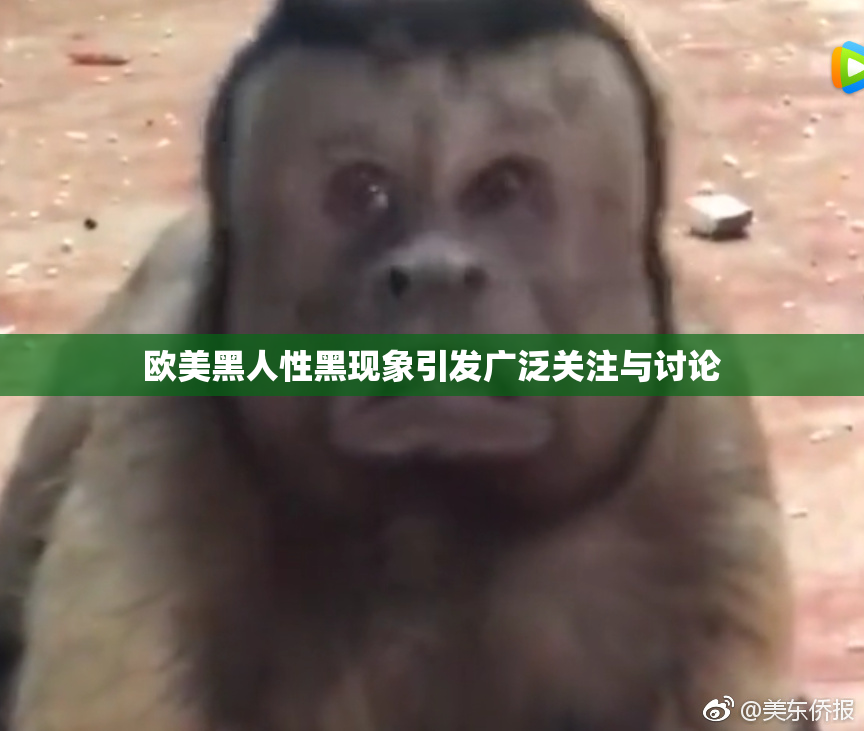 欧美黑人性黑现象引发广泛关注与讨论