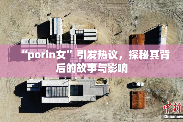 “porin女”引发热议，探秘其背后的故事与影响