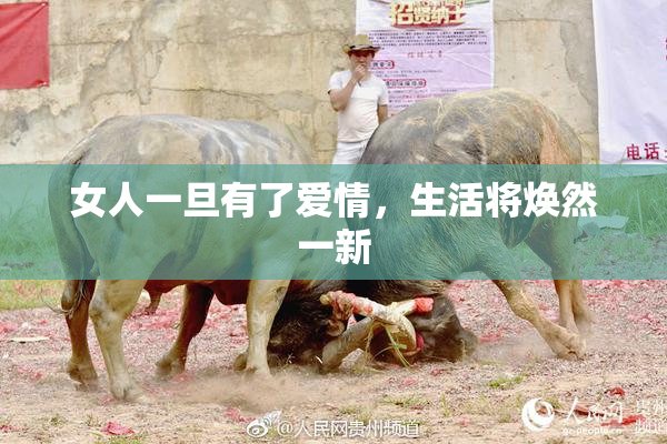 女人一旦有了爱情，生活将焕然一新