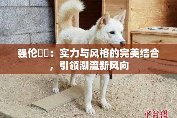 强伦妺妺：实力与风格的完美结合，引领潮流新风向