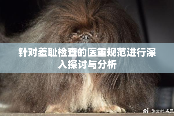 针对羞耻检查的医重规范进行深入探讨与分析