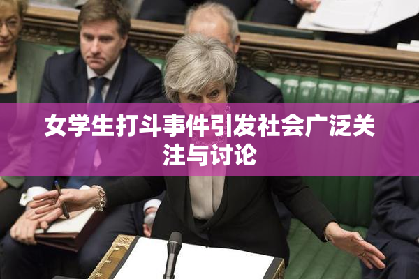 女学生打斗事件引发社会广泛关注与讨论