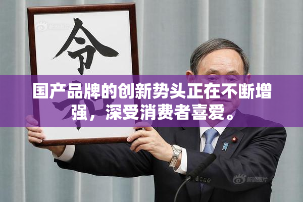 国产品牌的创新势头正在不断增强，深受消费者喜爱。