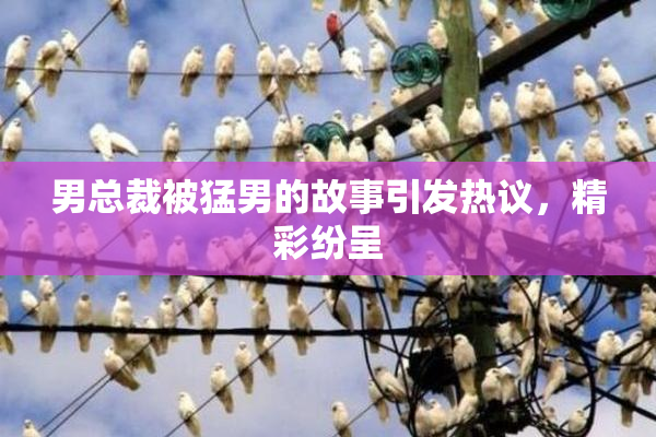 男总裁被猛男的故事引发热议，精彩纷呈