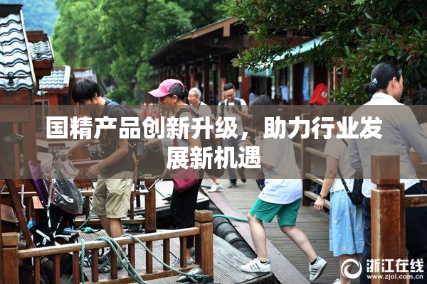 国精产品创新升级，助力行业发展新机遇