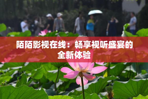 陌陌影视在线：畅享视听盛宴的全新体验