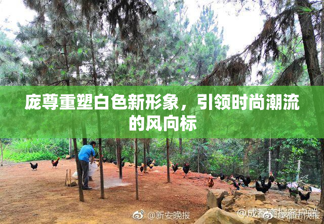 庞尊重塑白色新形象，引领时尚潮流的风向标