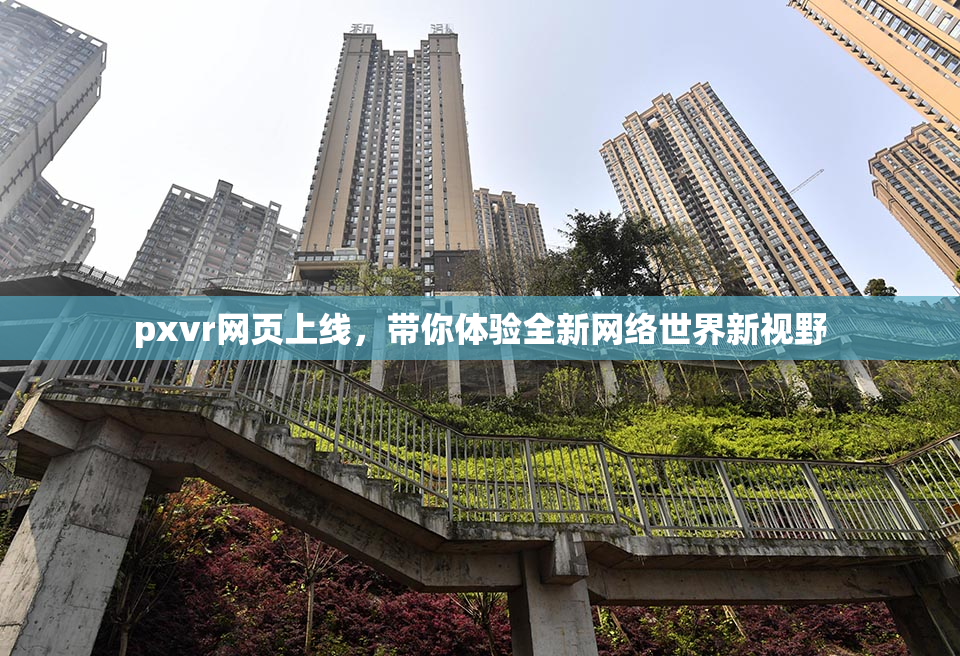 pxvr网页上线，带你体验全新网络世界新视野