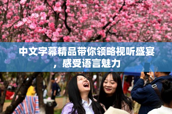 中文字幕精品带你领略视听盛宴，感受语言魅力