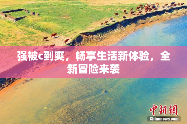 强被c到爽，畅享生活新体验，全新冒险来袭