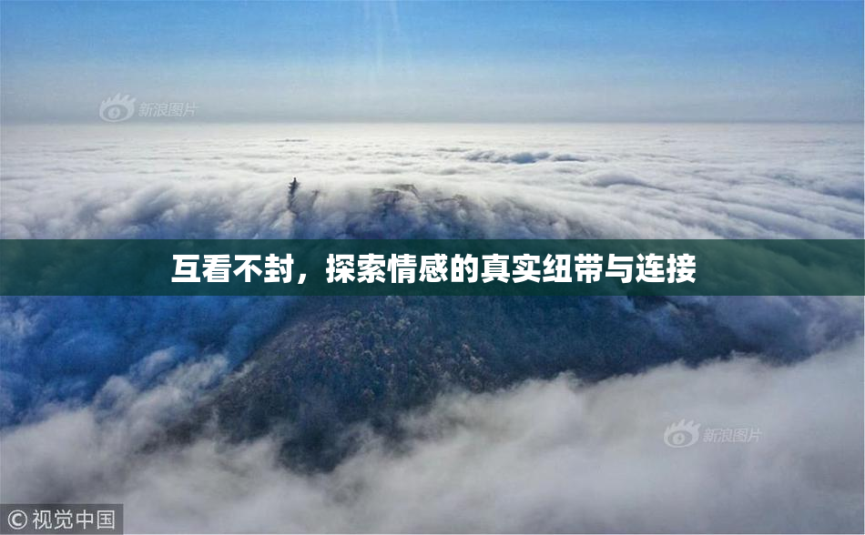 互看不封，探索情感的真实纽带与连接