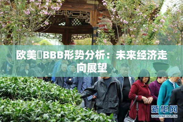 欧美槡BBB形势分析：未来经济走向展望