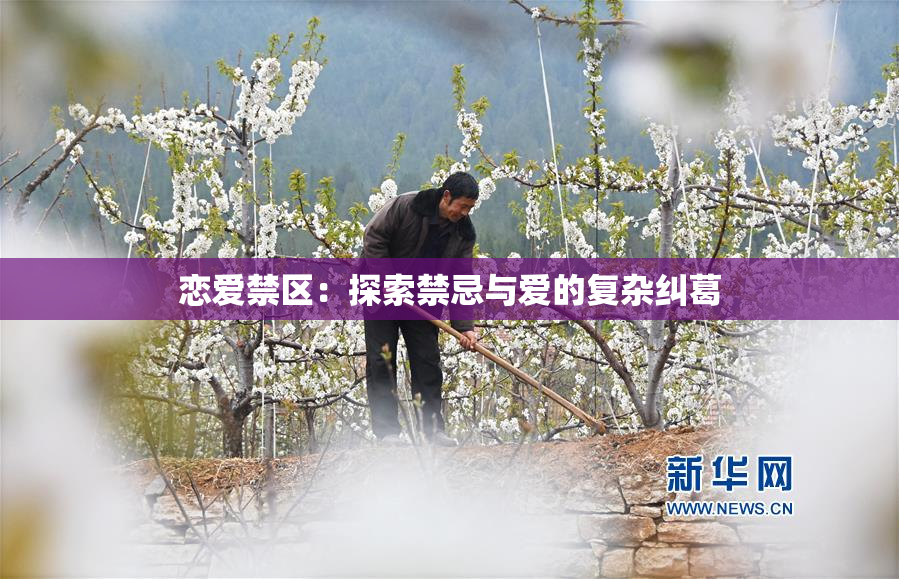 恋爱禁区：探索禁忌与爱的复杂纠葛