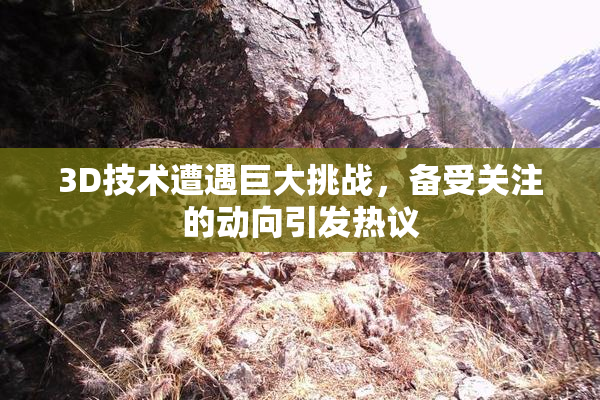 3D技术遭遇巨大挑战，备受关注的动向引发热议