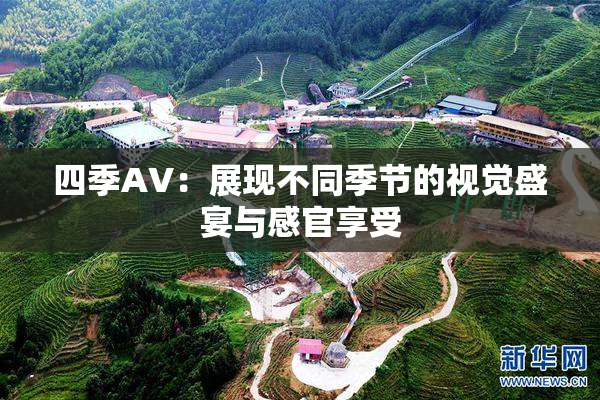 四季AV：展现不同季节的视觉盛宴与感官享受
