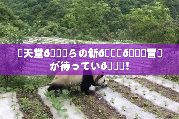 妺天堂💋らの新👅🍑冒険が待ってい🌃！