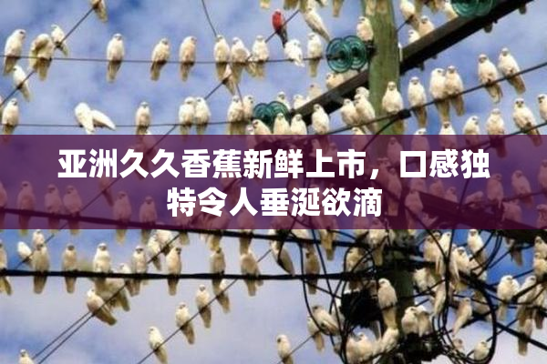 亚洲久久香蕉新鲜上市，口感独特令人垂涎欲滴