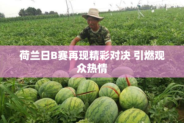 荷兰日B赛再现精彩对决 引燃观众热情
