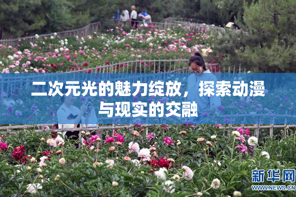 二次元光的魅力绽放，探索动漫与现实的交融