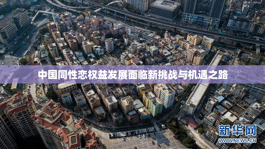 中国同性恋权益发展面临新挑战与机遇之路