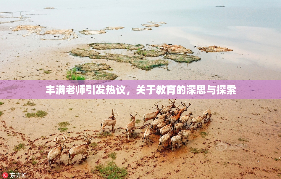 丰满老师引发热议，关于教育的深思与探索