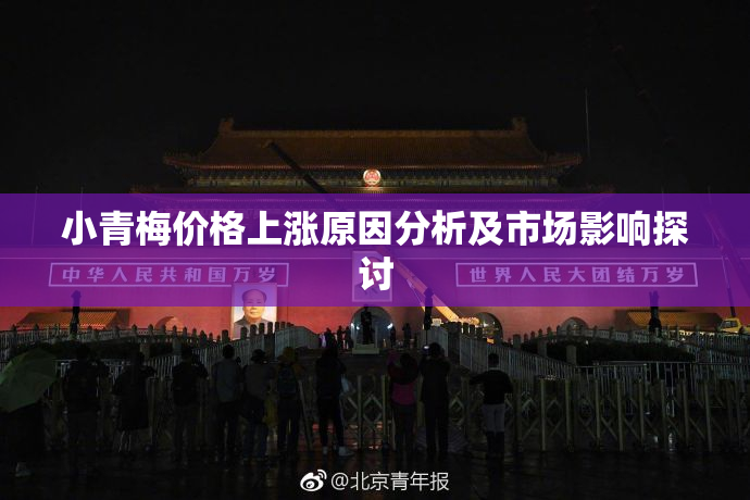 小青梅价格上涨原因分析及市场影响探讨