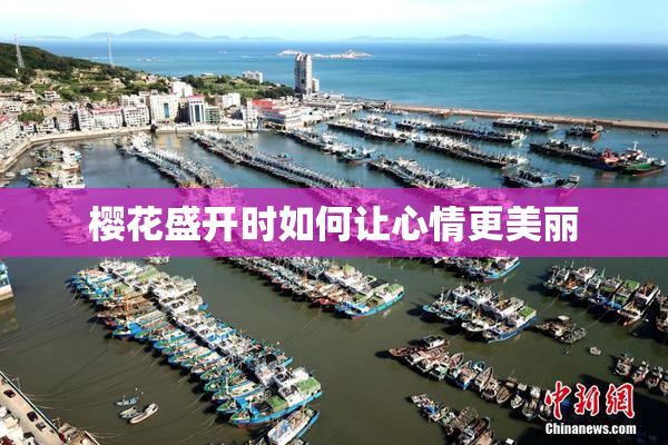 樱花盛开时如何让心情更美丽