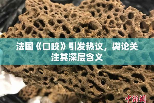 法国《口咬》引发热议，舆论关注其深层含义