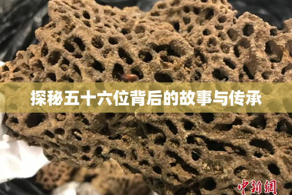 探秘五十六位背后的故事与传承