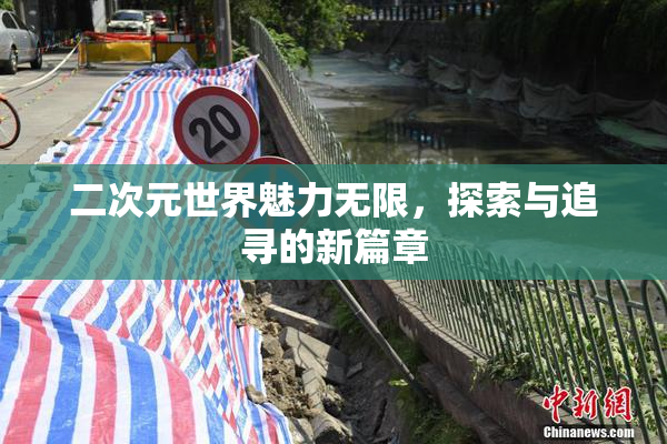 二次元世界魅力无限，探索与追寻的新篇章