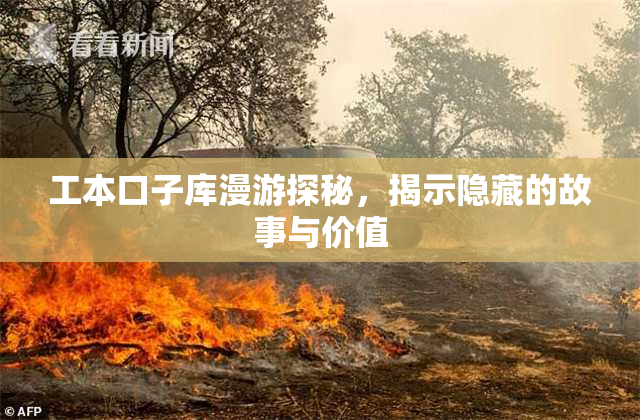 工本口子库漫游探秘，揭示隐藏的故事与价值