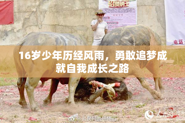16岁少年历经风雨，勇敢追梦成就自我成长之路