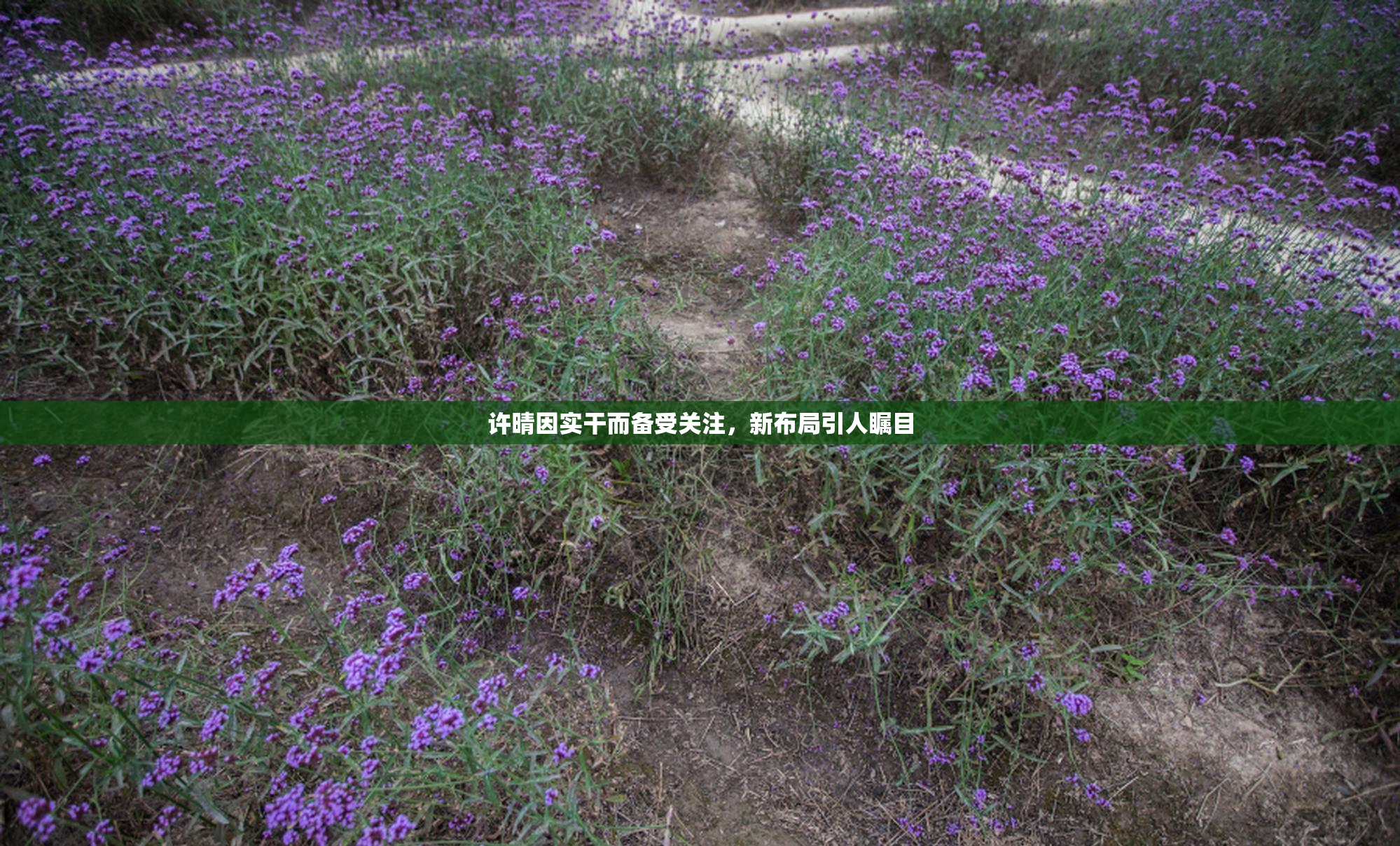 许晴因实干而备受关注，新布局引人瞩目