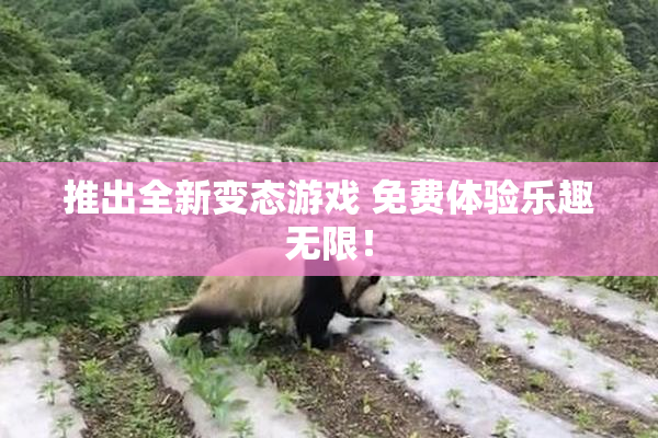 推出全新变态游戏 免费体验乐趣无限！