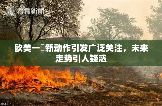 欧美一級新动作引发广泛关注，未来走势引人疑惑